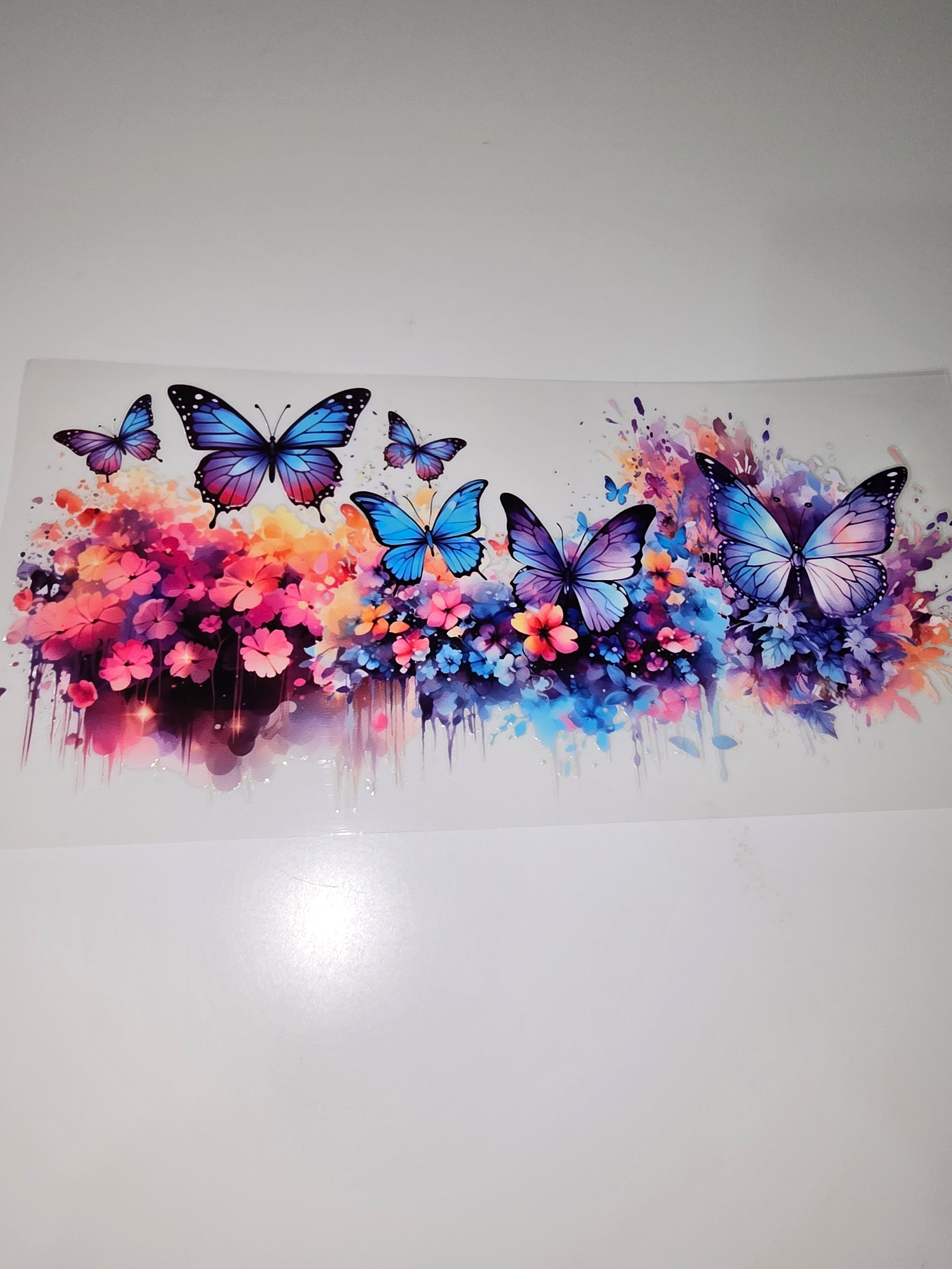 Butterfly 2