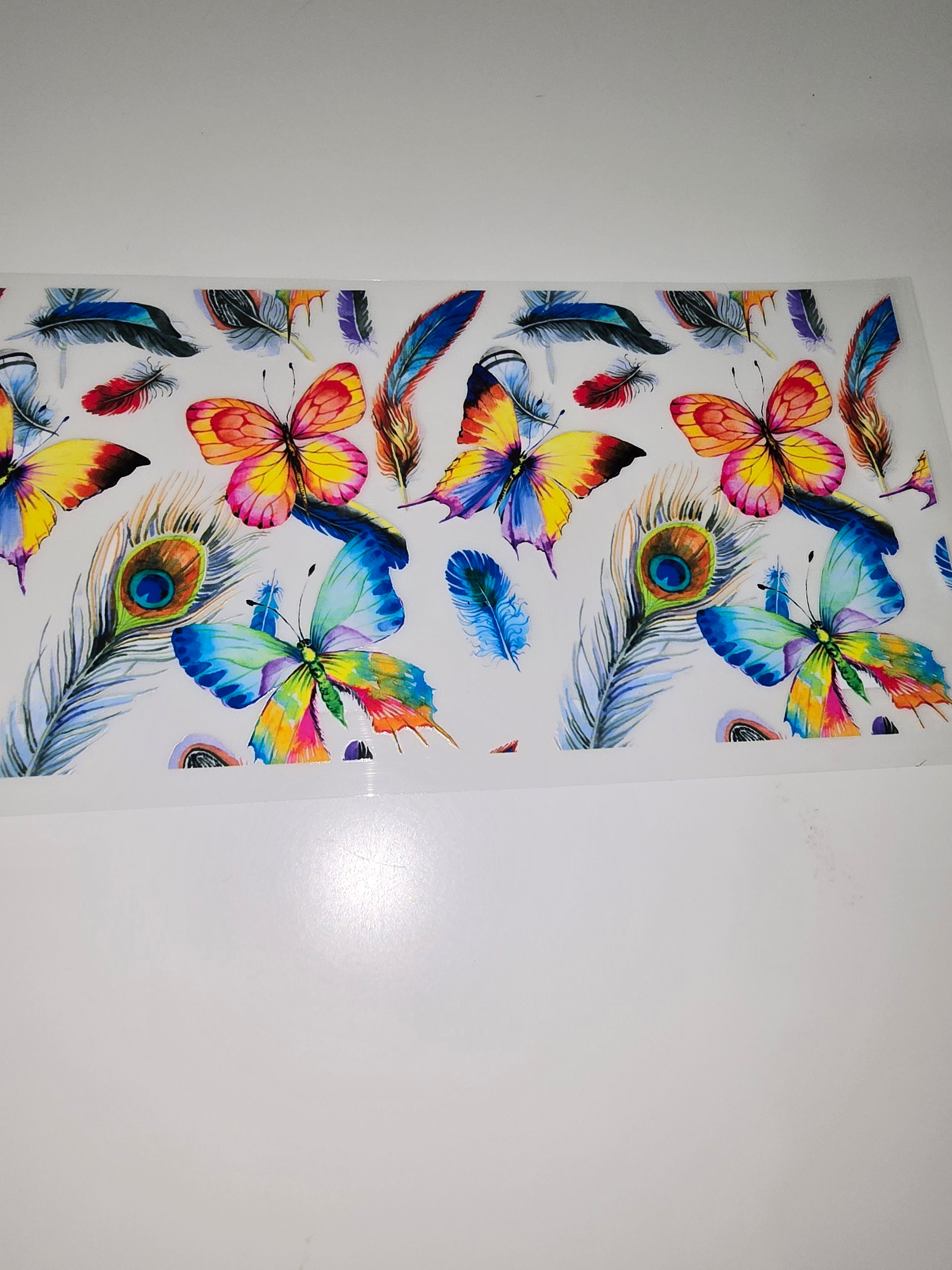 Butterflies & Feathers