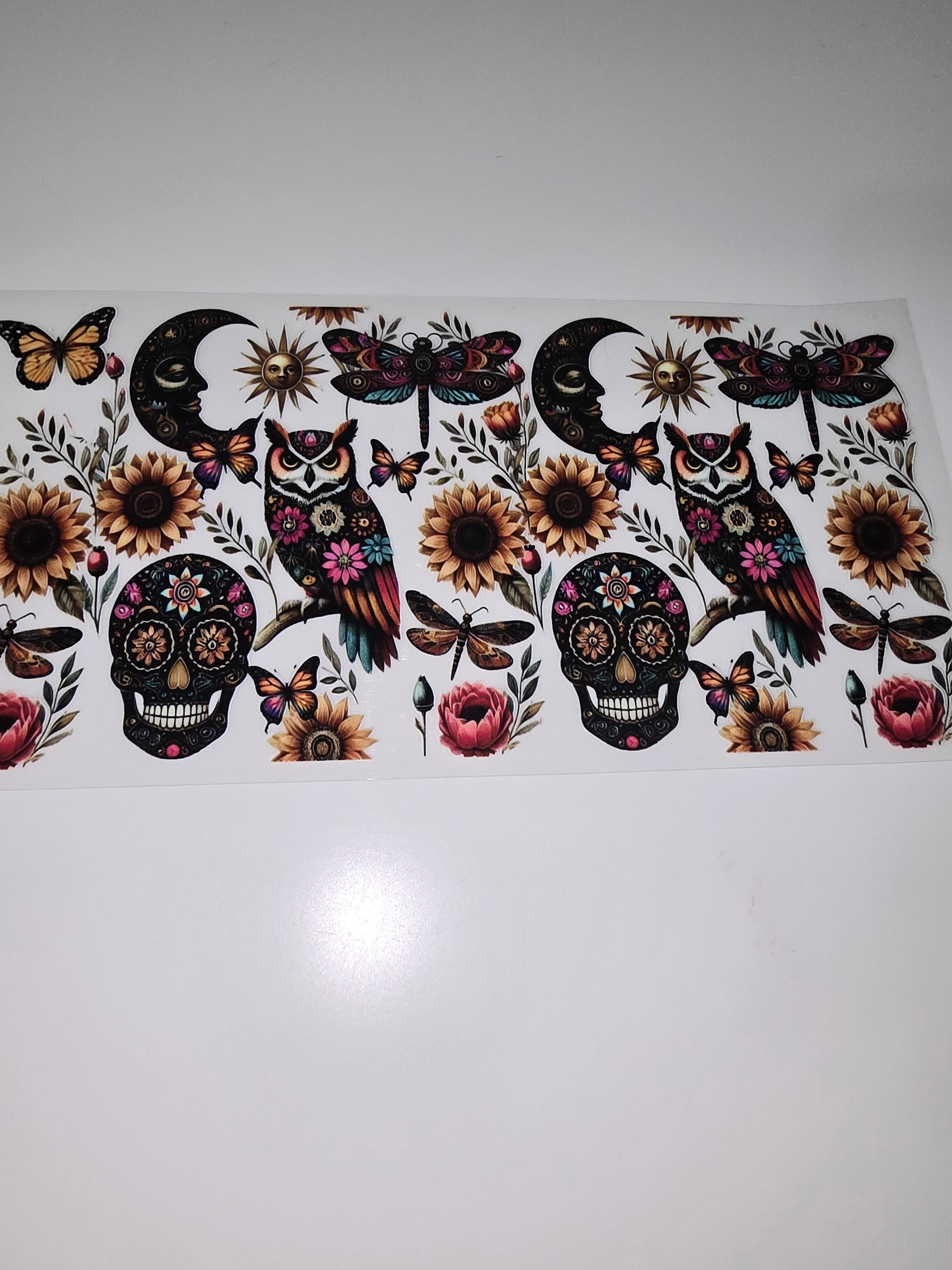 Owls, Sculls & Butterflies