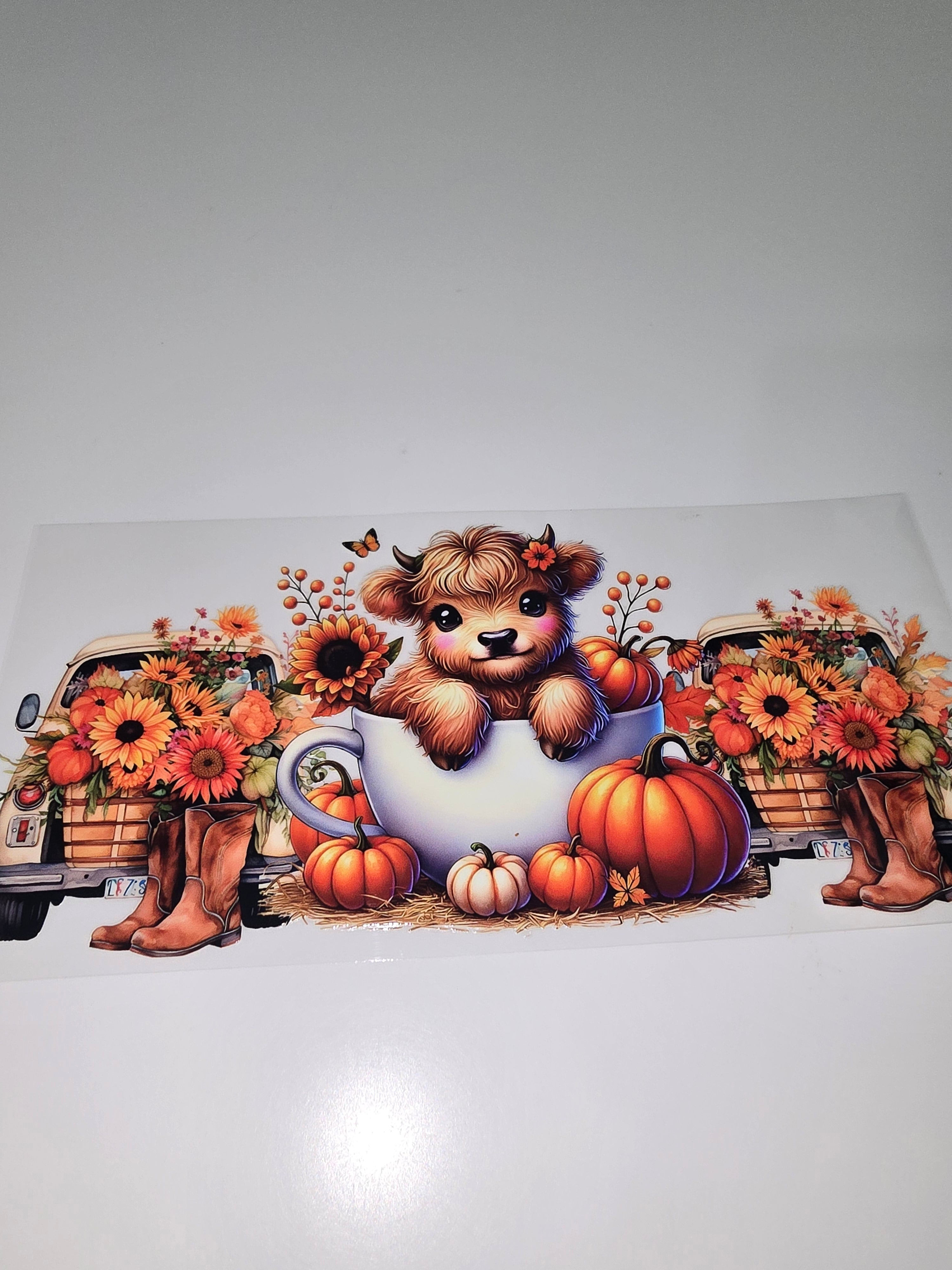 Fall Cow, Pumpkins, & Boots