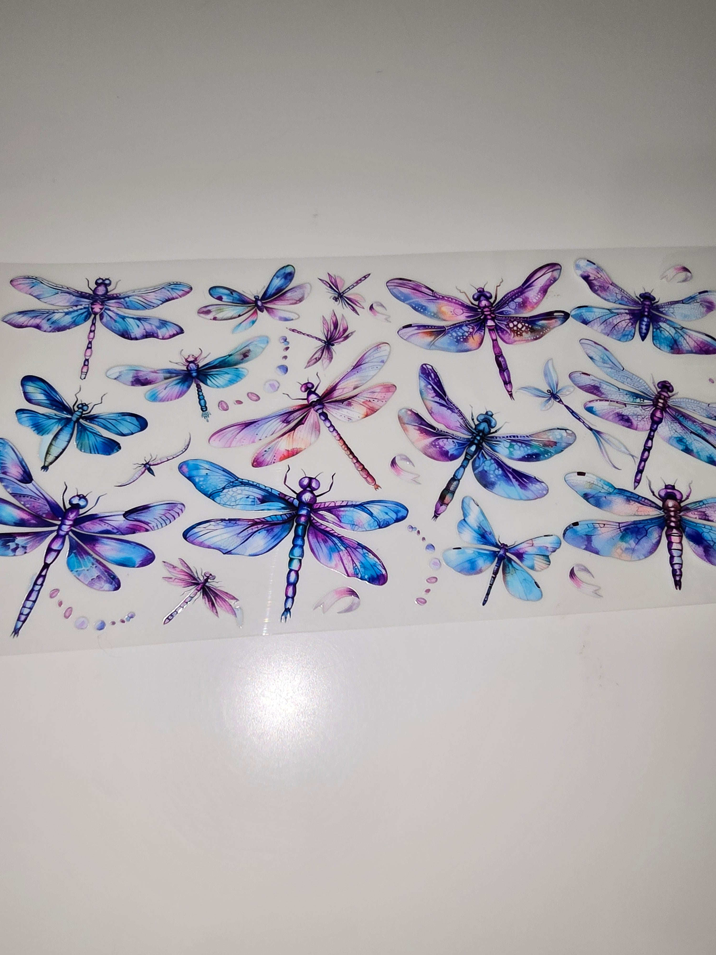 Dragonflies blues & purples