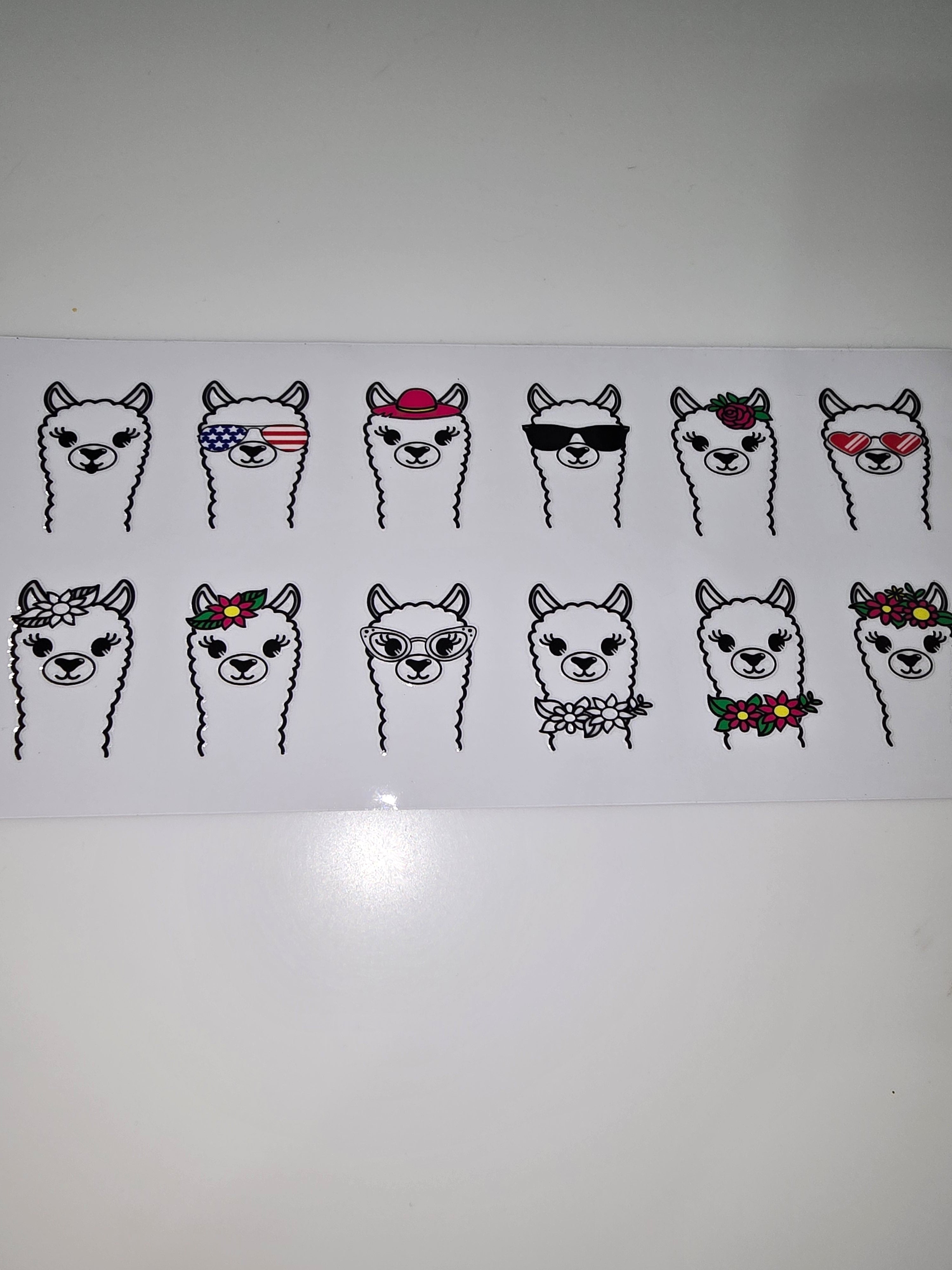 Llamas of all seasons